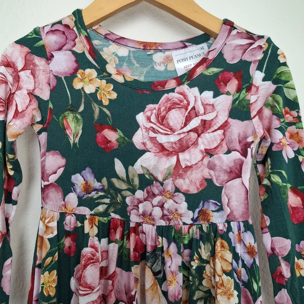 Posh Peanut Arsine Longsleeve Floral Twirl Dress 2T